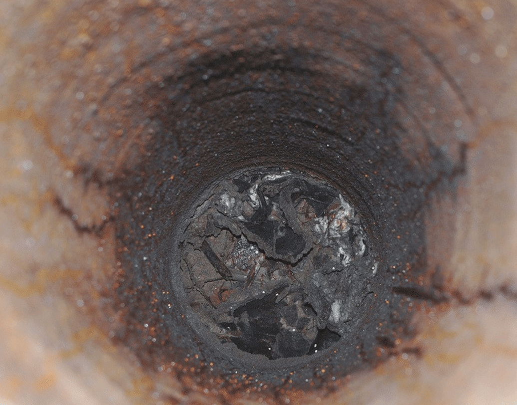 দুটো পাইপের অবস্থান এমনই যে, খাদ্যের সন্ধানে যাওয়ার সময় প্রতিদিন অনেক পিঁপড়ে ভেন্টিলেশন পাইপের মধ্যে পড়ে যায়। সেখান থেকে তারা আর নিজেদের কলোনিতে ফিরতে পারে না।