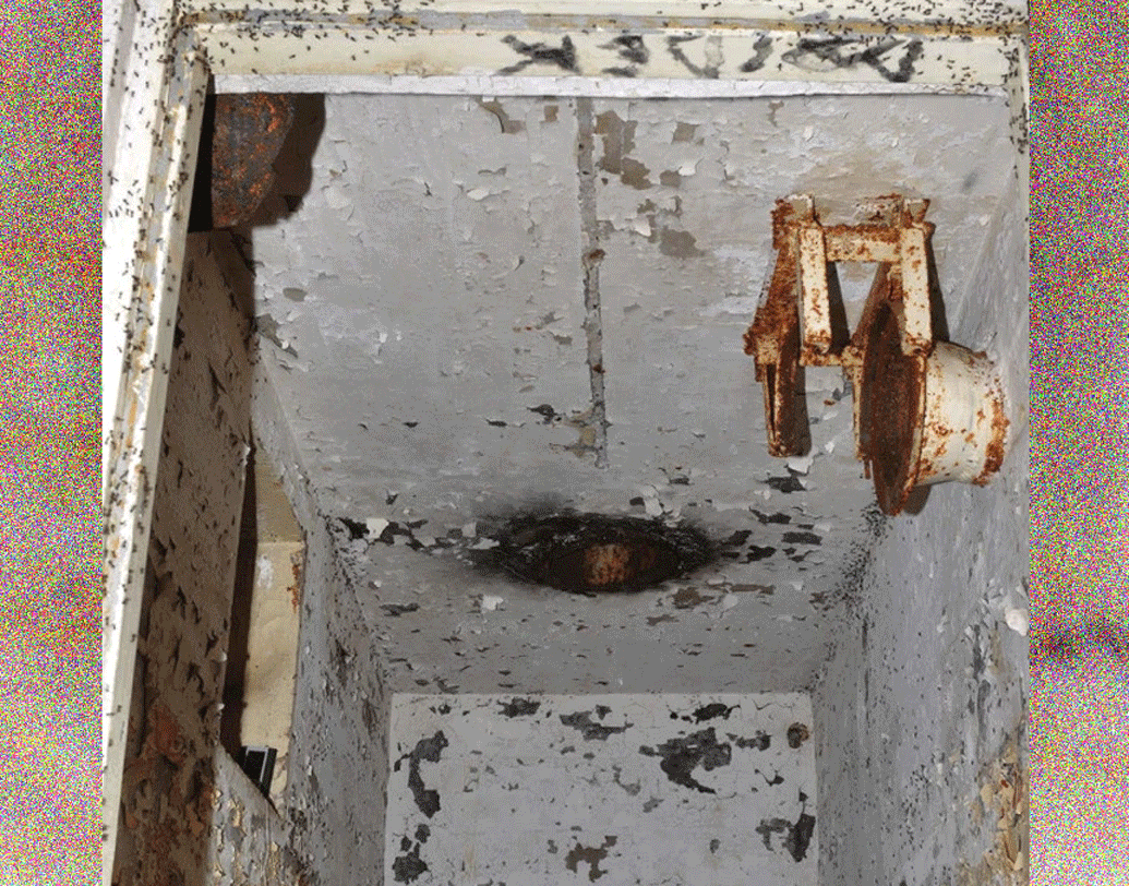 ভেন্টিলেশন পাইপটা গিয়ে পড়েছে একটি ছোট অন্ধকার ঘরে। পড়ে যাওয়া পিঁপড়েগুলো ওই ঘরেই রয়ে যায়। দেওয়াল বেয়ে উপরে উঠলেও তাঁরা পাইপ থেকে বাইরে বেরতে পারে না। ফলে নিজেদের কলোনিতে ফিরে যেতে পারে না।