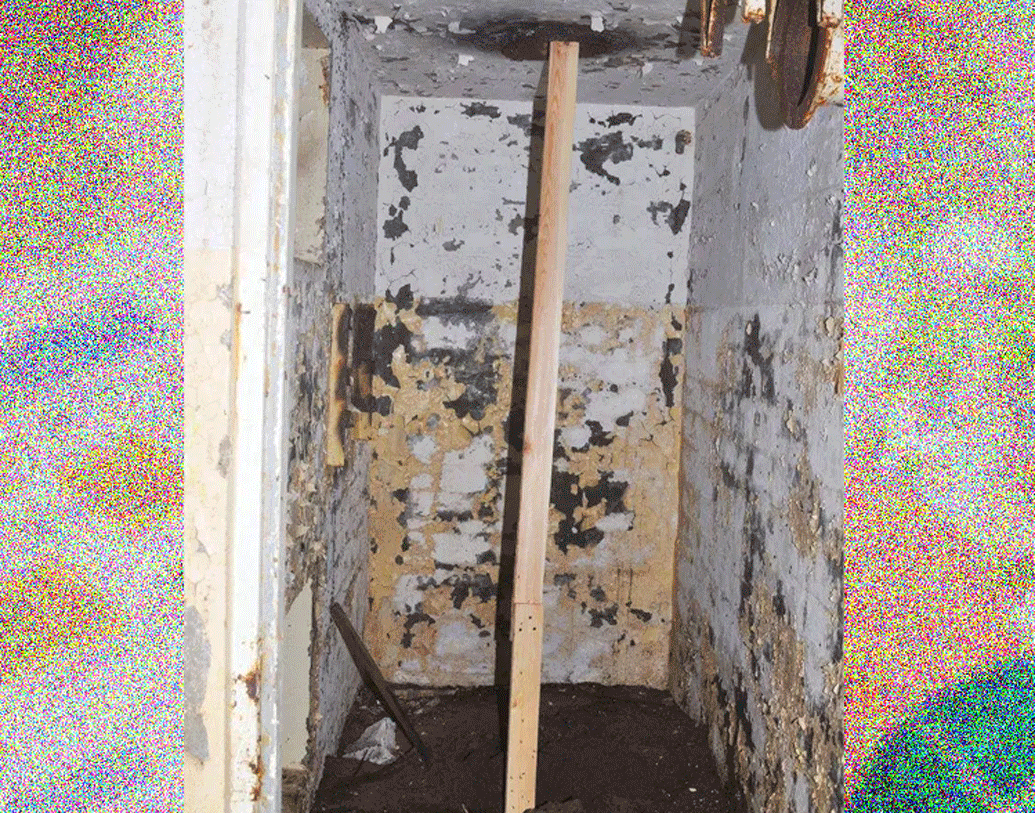 ভেন্টিলেশন পাইপের সঙ্গে মূল কলোনির পাইপের মধ্যে একটি কাঠের পাটাতন যোগ করে বিজ্ঞানীরা এও দেখেছেন। দীর্ঘদিন মূল কলোনি থেকে আলাদা থাকা পিঁপড়ের দল যখন ওই কাঠ বেয়ে মূল কলোনিতে পৌঁছয়, তখন তাদের স্বাগত জানানো হয়। তাদের আলাদা কলোনি বলে বিচার করে না পিঁপড়েরা।