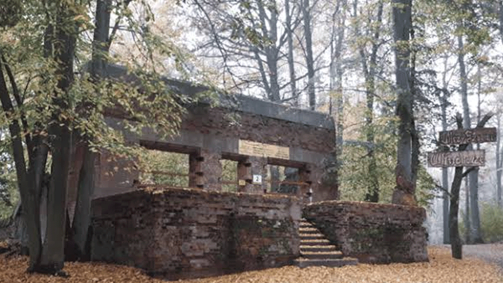 সম্প্রতি সেই ‘নেকড়ের ডেরা’ থেকে উদ্ধার হল হিটলারের ব্যবহৃত বেশ কিছু সামগ্রী। পোল্যান্ডে অবস্থিত এই নাৎসি হেডকোয়ার্টার্সের একটি বড় অংশে ১৯৪৪ সালের পর থেকে কারও পা পড়েনি।