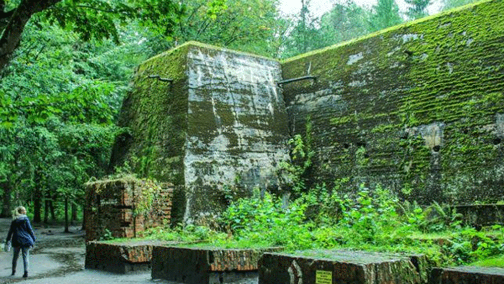 উদ্ধার হওয়া এই লাইটার-সহ বেশির ভাগ সামগ্রীর একটি বিষয় একই ছিল। সব কিছুতেই কোনও না কোনও নাৎসি চিহ্ন দেওয়া রয়েছে।