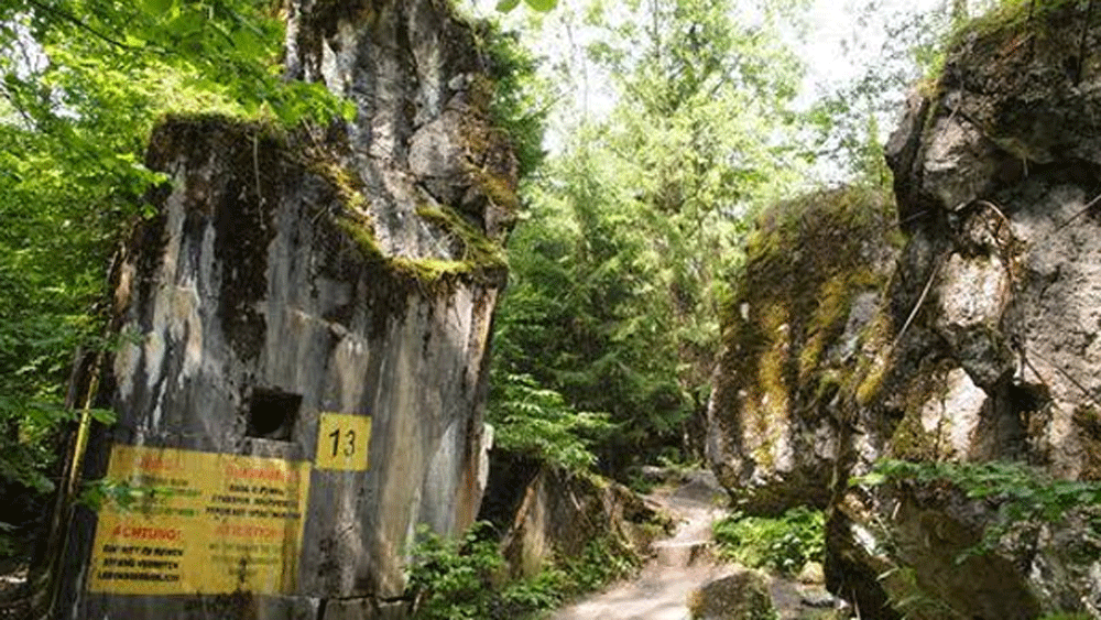 পোল্যান্ডের এই ডেরার ম্যানেজিং ডিরেক্টর জেনন পিয়োট্রোয়িজ জানিয়েছেন, এই ধরনের যে কোনও আবিষ্কারই গুরুত্বপূর্ণ। কারণ এই সব সামগ্রী থেকে তখনকার দিনের জীবনযাত্রার খুঁটিনাটি দিকগুলিও জানা যায়।