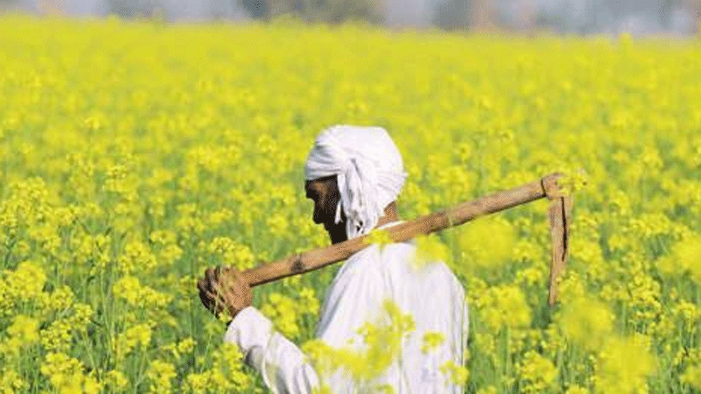 রাজস্থানের মানপুরা গ্রামের পাতিদার পরিবারে জন্ম হুকুমচাঁদ পাতিদারের। ছোট থেকে মাঠে অভিভাবকদের সঙ্গে চাষাবাদেই কেটে গিয়েছিল তাঁর অনেকটা সময়।