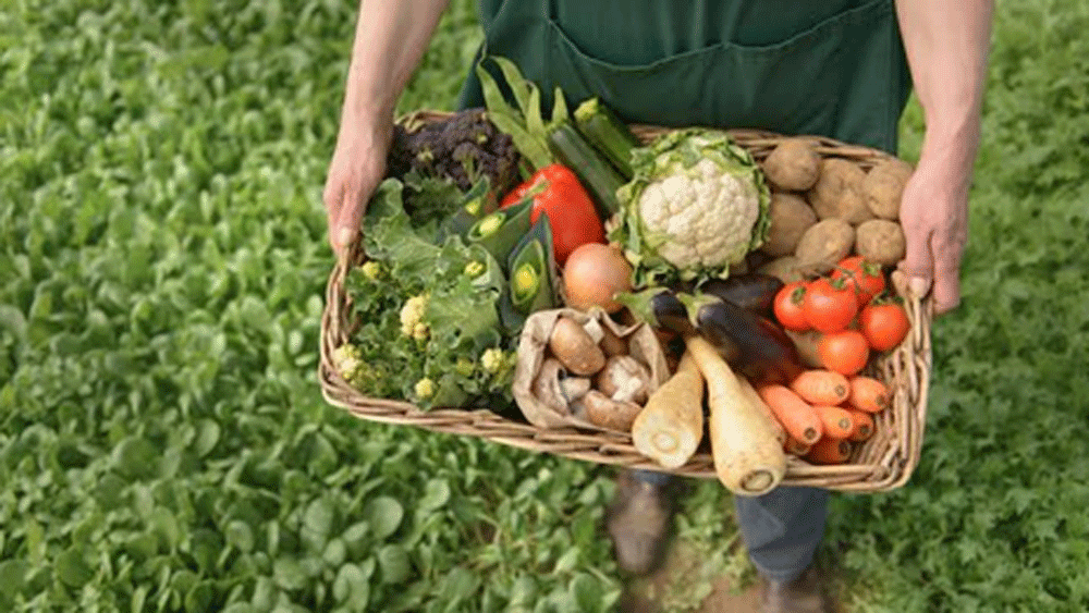 এই সার্টিফিকেটের সাহায্যে হুকুমচাঁদ ভারতের বিভিন্ন প্রান্ত, এমনকি আমেরিকা ও অন্যান্য দেশেও জৈব ফসল রফতানির অনুমতি পান।