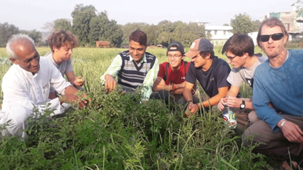 প্রথম বছরই হুকুমচাঁদের লাভ হয় ২০ লক্ষ টাকা। আমেরিকার পাশাপাশি সুইত্জারল্যান্ড, জার্মানি এবং জাপানেও তাঁর ফসল রফতানি হয়।