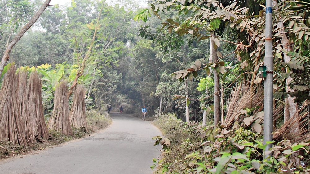Youths are worried as the old couple died inn Ashoknagar