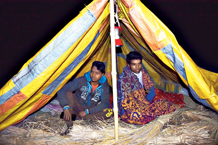 নজরদারি: জমিতে তাঁবু টাঙিয়ে রাত জেরে পেঁয়াজ-পাহারা। ছবি: সুশান্ত সরকার