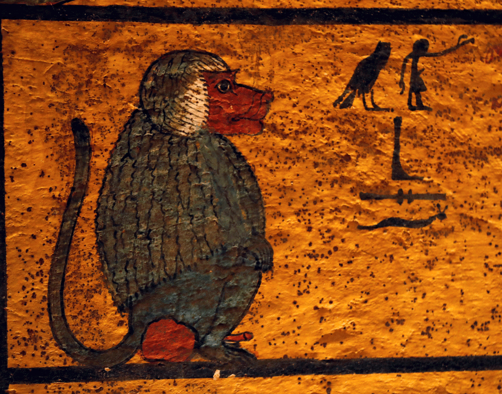 ২০০৫ সালে জাহি হাওয়াস বলেন, সম্ভবত ম্যালেরিয়ায় ভুগেই মৃত্যু হয়েছিল তুতেনখামেনের। পরে ২০১০ সালে জার্মান গবেষকরা দাবি করেন, তাঁর রক্তে লোহিত রক্তকণিকার অভাব ছিল।