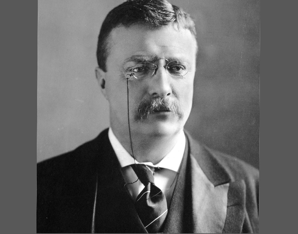 এই ইতিহাসের সঙ্গে জড়িয়ে আছে আমেরিকার ২৬তম প্রেসিডেন্ট থিওডোর রুজভেল্টের নাম। যিনি ‘টেডি’ নামেই বেশি পরিচিত ছিলেন। মার্কিন প্রেসিডেন্টের সঙ্গে সফ্ট টয়েজ বা ভল্লুকের কী সম্পর্ক?