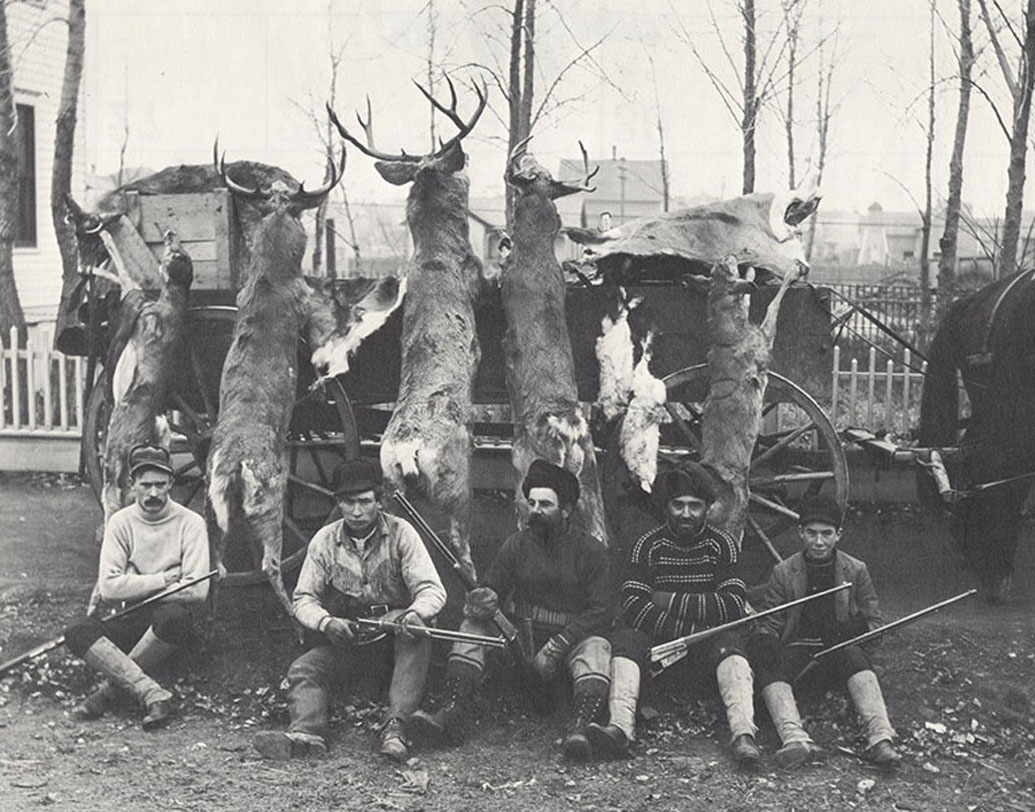 সেই সময়ে শিকার নিয়ে গোটা বিশ্বে কোনও কড়া আইন ছিল না। সামাজিক ভাবেও শিকার ছিল এক বীরত্ব প্রদর্শনেরই খেলা।