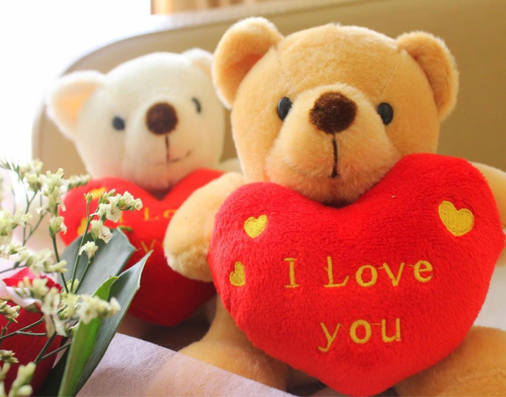 একদিকে শিশুদের প্রিয় খেলনা হিসেবে অন্য দিকে ভালবাসার মানুষকে উপহার দেওয়ার কারণ হিসেবে জনপ্রিয় হয়ে উঠেছে এই সফ্ট টয়টি।