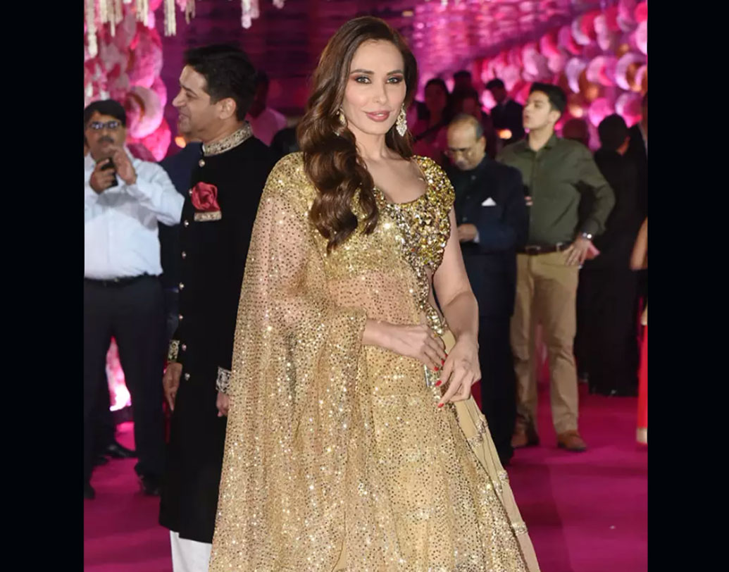 এসেছিলেন সলমনের বিশেষ বন্ধু লুলিয়া ভান্টুরও। তাঁর লেহেঙ্গা নজর কেড়েছে বি টাউন সেলেবদের।