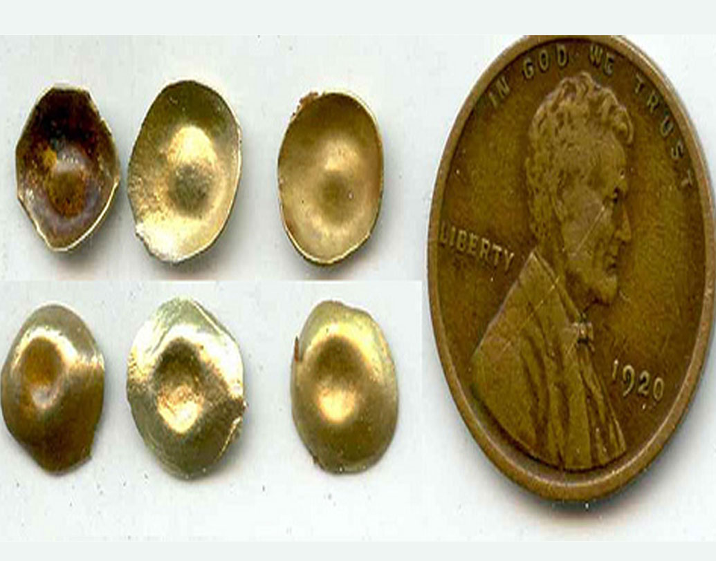 ২০১১ সালে আমেরিকার একটি নিলাম ঘরে বিক্রির জন্য আসে এটি। একটি গোলাকার চাকতির মতো অংশ, গয়নার মতোই ব্যবহার করা হত এগুলি। তার মধ্যে কয়েকটি দেখতে স্তনবৃন্তের মতো। এমনই বেশ কিছু প্রসাধনী এসেছিল নিলাম ঘরের হাতে।