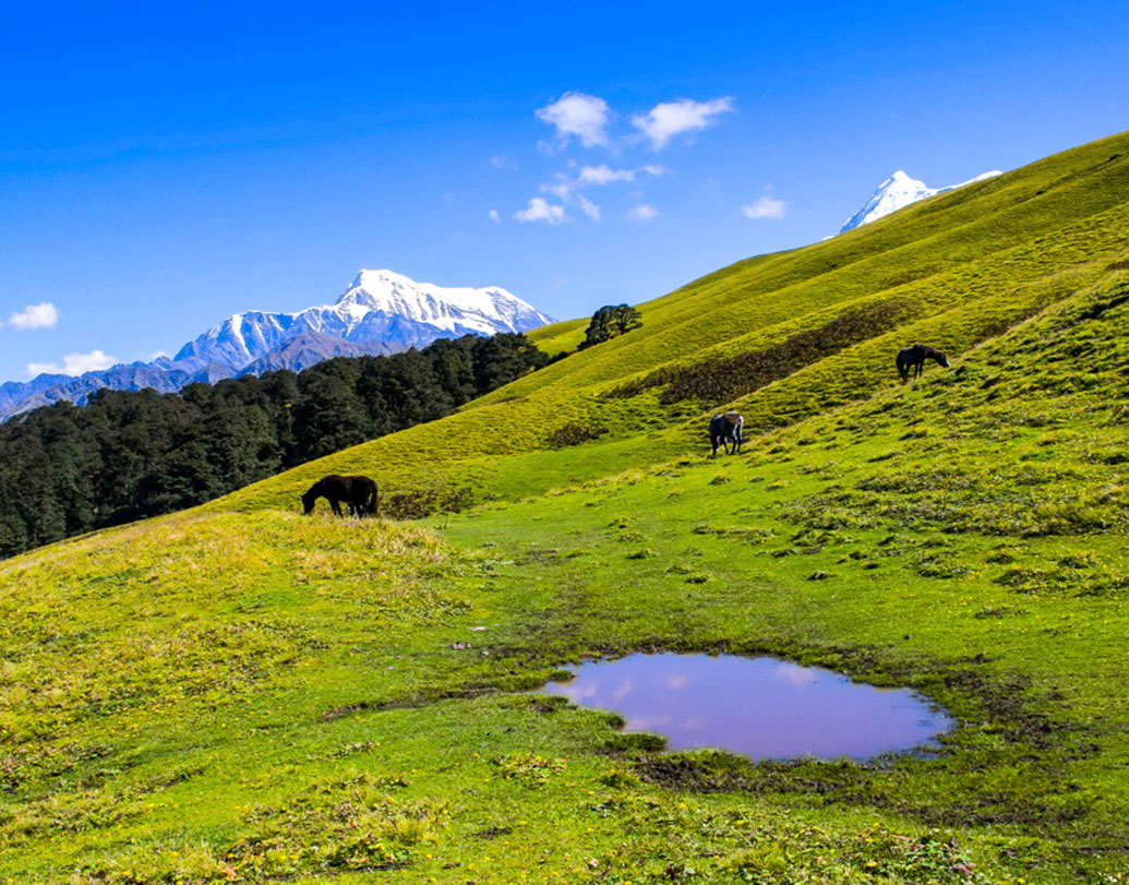 হিমালয়ের কোলে উত্তরাখণ্ডের চামোলি জেলায় ওয়ান গ্রামে অবস্থিত এই লেক। যাকে বলা হয় রূপকুণ্ড।