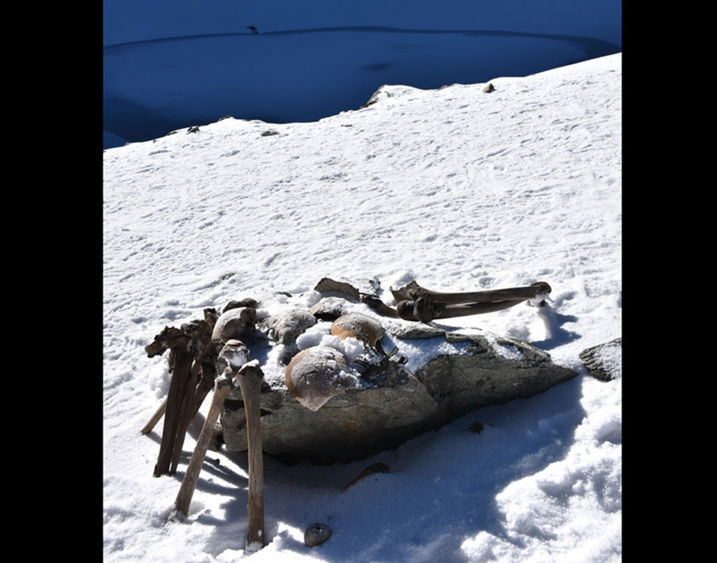 ১৯৪২ সালে এক ব্রিটিশ রক্ষী বরফে মোড়া লেকে প্রথম বার দেখতে পান বেশ কিছু হাড়গোড়।