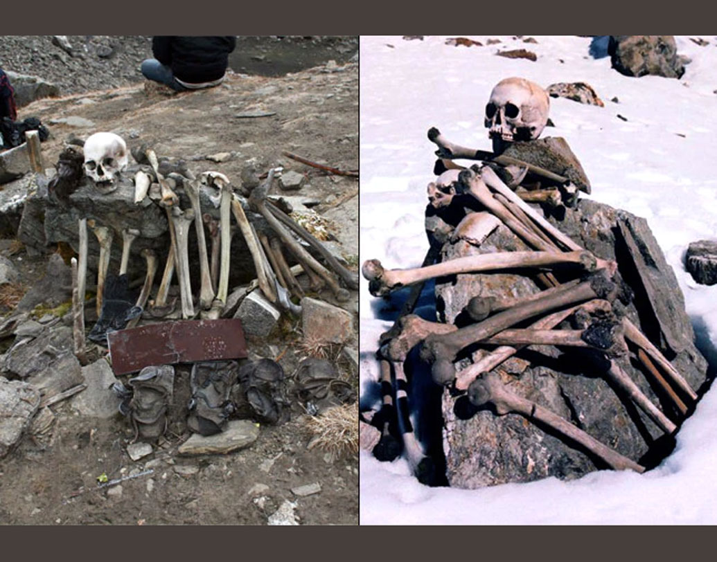 গরমে বরফ গলতে শুরু করলে হাড়গোড় ও কঙ্কালের পরিমাণ বাড়তে থাকে।