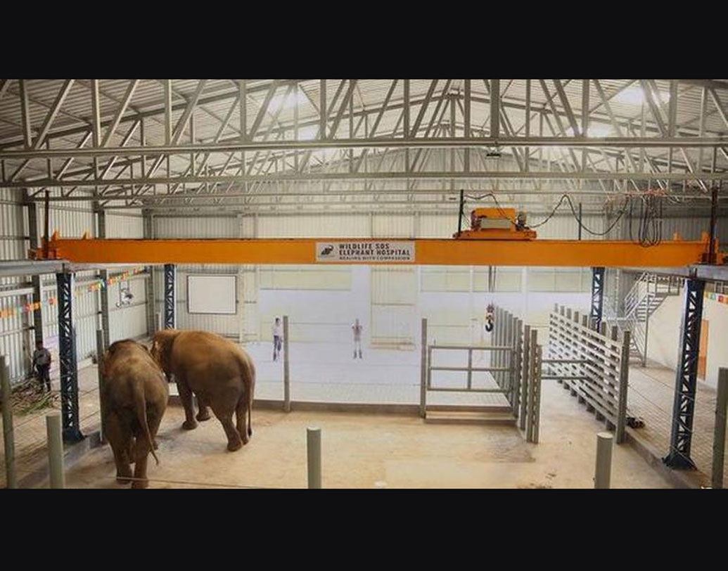 হাসপাতালের দায়িত্বে রয়েছে একটি স্বেচ্ছাসেবী সংস্থা। নিয়মিত আসেন ৩ জন চিকিত্সক।