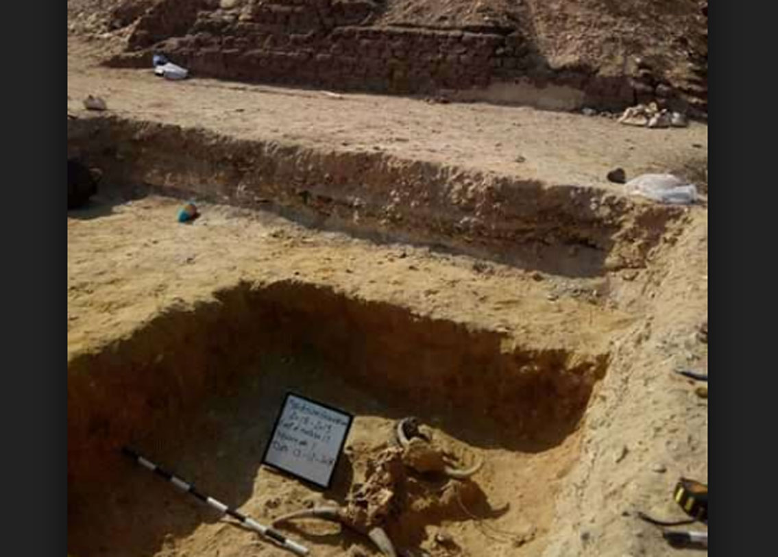 মিশনের রাজধানী কায়রো থেকে ১০০ কিলোমিটার দক্ষিণে মেইডামে এক পিরামিডের কাছ থেকেই এই কঙ্কালটি উদ্ধার হয়েছে।