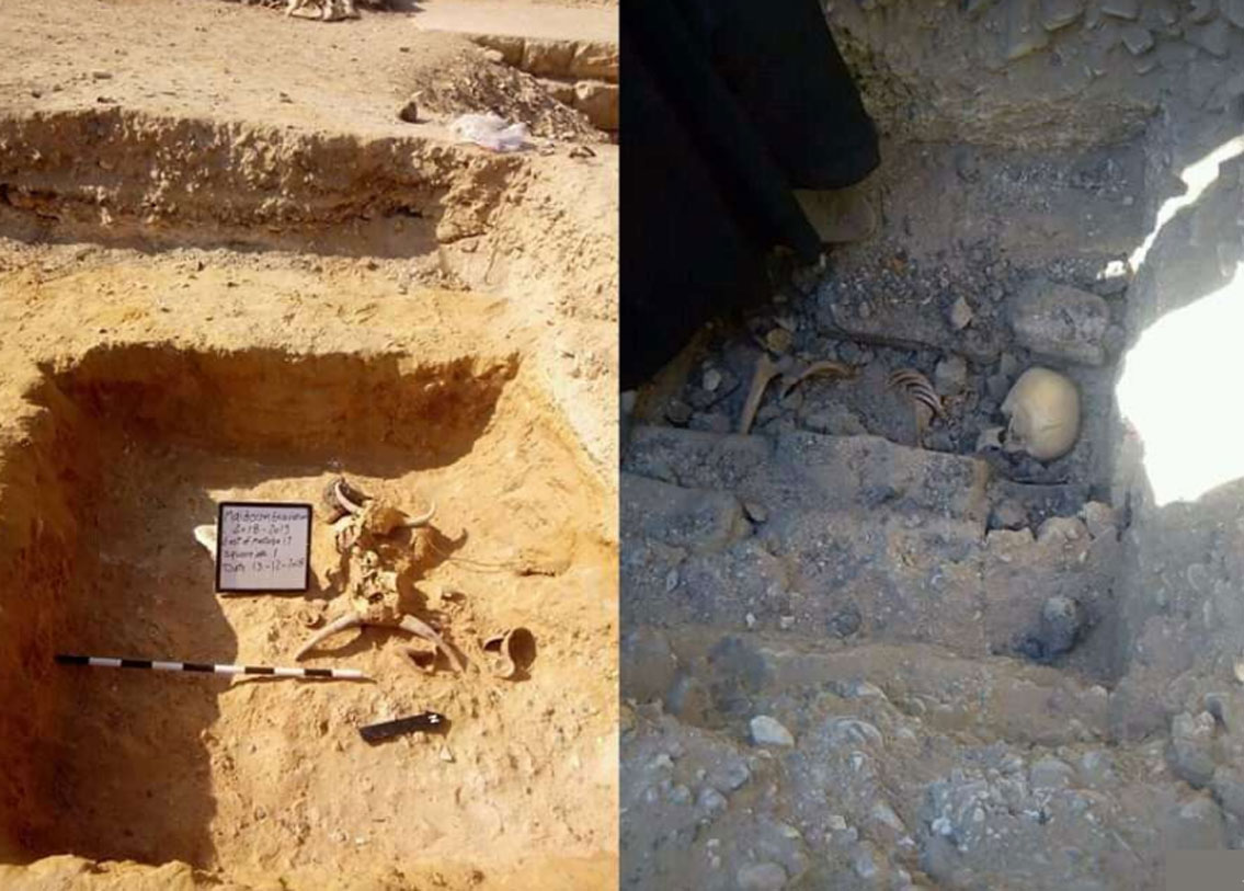 কঙ্কালটির সঙ্গে গর্তের ভিতরে তিনটি ছোট মুখঢাকা পাত্র, মুখ বন্ধ করা প্যাপিরাস এবং আরও দুটো খুলি উদ্ধার হয়েছে।