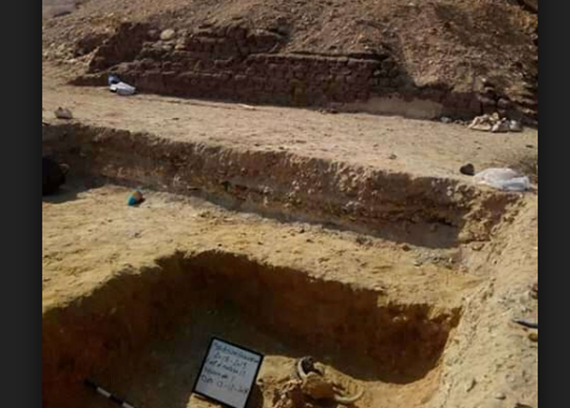 দু’টো খুলি সম্ভবত ষাঁড়ের। প্রাচীন মিশরীয় পৌরাণিক তত্ত্ব অনুযায়ী, ষাঁড় শক্তির প্রতীক। সাধারণত উচ্চ সামাজিক মর্যাদাপূর্ণ মানুষদের কবরের সঙ্গে ষাঁড়ের খুলি দেওয়া হত।