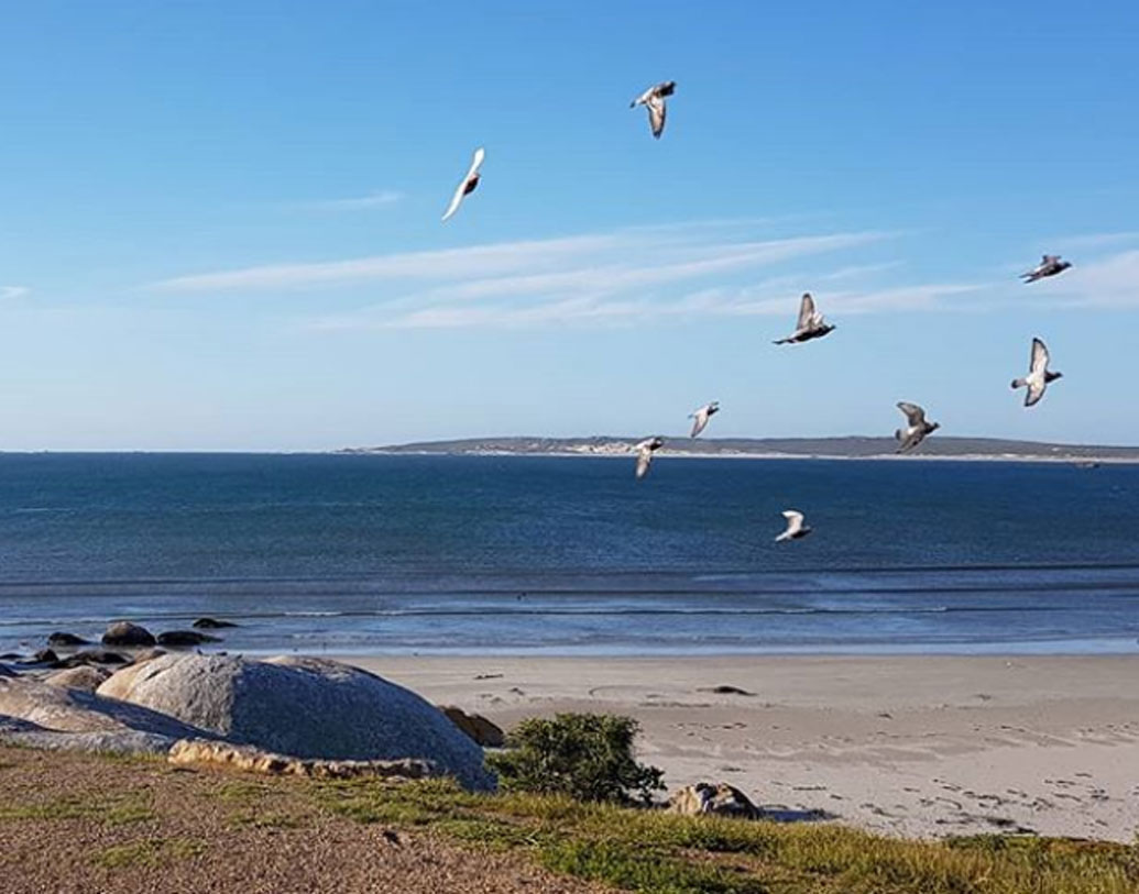২০১৬ সালে চালু হয়েছে বিচ রেস্তরাঁ। রেস্তরাঁর ঠিক সামনে উন্মুক্ত জলরাশি। রেস্তরাঁর মালিক সেফ কোবার ভ্যান দে।
