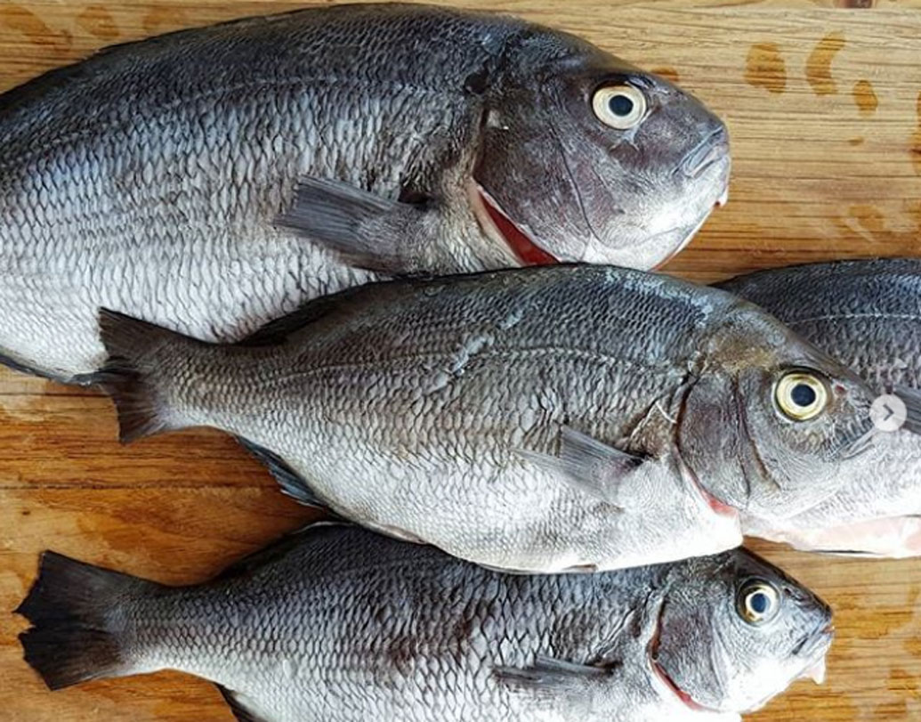 কুকড লাভের (সামুদ্রিক হার্ব), অ্যাঞ্জেল ফিস উইথ বোকোম সাম্বাল, ওয়াইল্ড গার্লিক মশালা, লিম্পেটস, ঝিনুক এবং বিভিন্ন সামুদ্রিক শাক-সবজি। মূলত এটাই উলফগাটের মেনু লিস্ট।