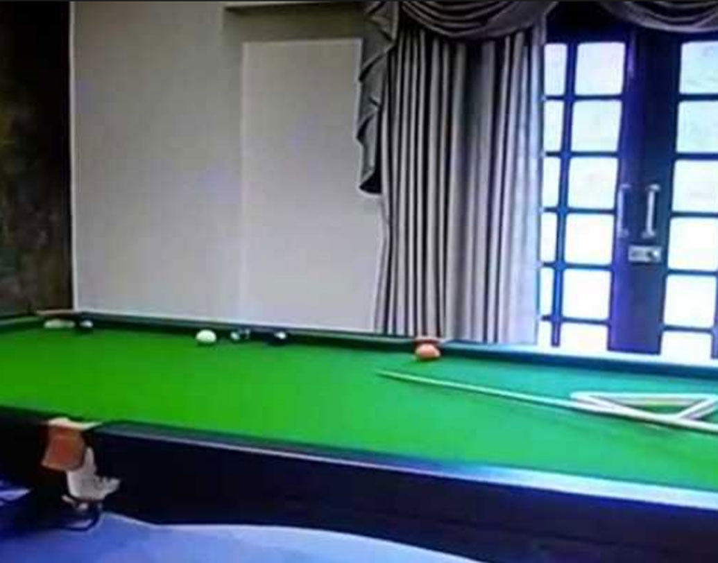 নিজের শরীরচর্চার জন্যও উপমুখ্যমন্ত্রী থাকাকালীন অনেক ভাবনাচিন্তা করেছিলেন লালুপুত্র। সে কারণে নানা রকম শরীরচর্চার উপকরণ রেখেছিলেন বাংলোয়। পাশাপাশি একটা বিলিয়ার্ডস বোর্ডও রেখেছিলেন তিনি।