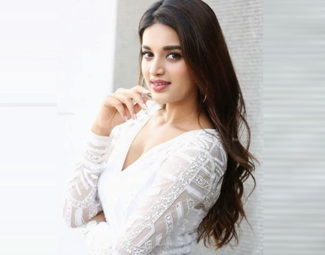 এর পর ‘আই স্মার্ট শঙ্কর’ নামে একটি ছবিতে অভিনয় করতে চলেছেন তিনি। রাম পথিতেনির সঙ্গে এটি তাঁর প্রথম কাজ।