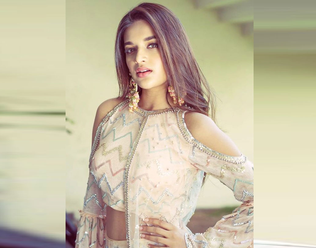 মডেলিংয়ের মাধ্যমে বিনোদনের জগতে প্রবেশ নিধির। ঐশ্বর্যা রাইকে নিজের আইডল বলেন তিনি।