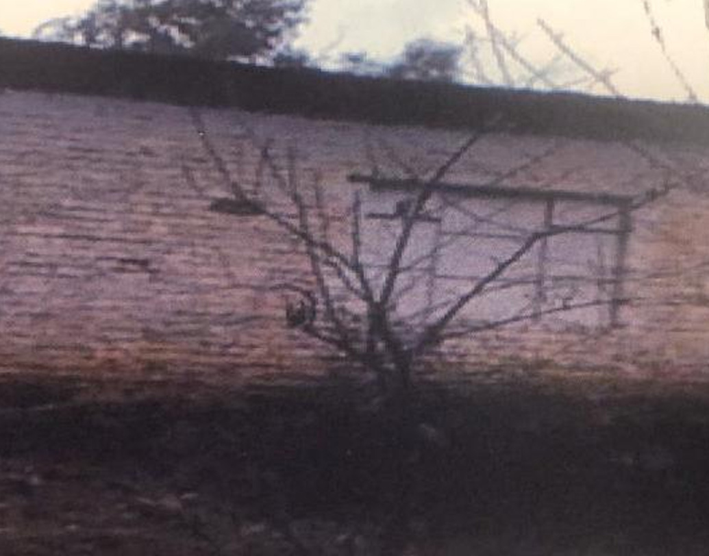 ভারতীয় গোয়েন্দা সূত্রের খবর, জইশের ওই ঘাঁটিতে আত্মঘাতী জঙ্গিদেরই প্রশিক্ষণ দেওয়া হত। ওই ঘাঁটিতে ছিল ৩০০-র মতো জঙ্গি। মঙ্গলবার ভোর রাতে ভারতীয় বায়ুসেনা অভিযানে ওই ঘাঁটির কোনও জঙ্গিই বেঁচে নেই। ওই ঘাঁটিতে ছিল গোলাবারুদের বিশাল সম্ভার। সেখানে প্রচুর গ্রেনেড, ডেটোনেটর ও বিস্ফোরক ছাড়াও ছিল প্রচুর একে রাইফেল। ভারতীয় বায়ুসেনার অভিযানে সেই সব কিছুই ধ্বংস হয়েছে।