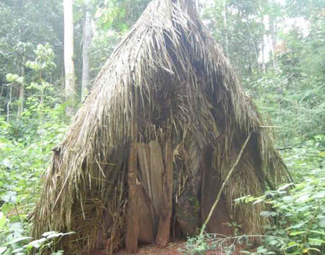ব্রাজিলের রন্ড-নিয়া প্রদেশের এই গহীন জঙ্গলেই দেখা মিলেছিল আমাজনের জঙ্গলের একটা গোটা জনজাতির একমাত্র জীবিত আদিবাসী মানুষের।‘দ্য ম্যান অব হোল’ নামেই এই মানুষকে চেনে বহির্বিশ্ব। গহন অরণ্যেই খড়, কাঠ ও গাছের পাতা দিয়ে বানানো কুঁড়ে ঘরে থাকেন তিনি।