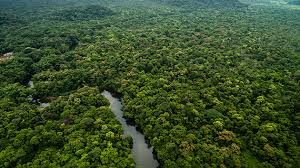 ১৯৯৬-তে ব্রাজিল সরকারের সংস্থা ‘ফুনাই’ এই মানুষটির অস্তিত্ব দাবি করে একটি ফুটেজ প্রকাশ করে। ফুটেজ প্রকাশ্যে আসতেইএই গোষ্ঠী নিয়ে কৌতূহল বাড়ে।