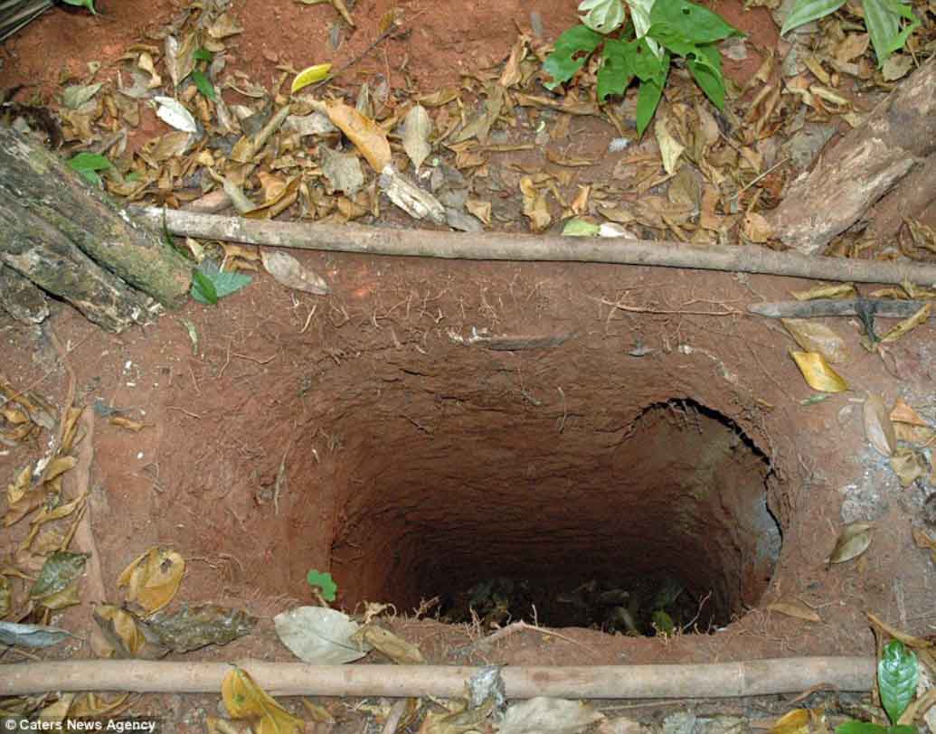 ‘ফুনাই’-এর রিজিওনাল কো-অর্ডিনেটর অ্যালটেয়ার অ্যালগেয়ারের মতে, ‘ফুটেজে এই মানুষটিকে সব সময় একা চলাফেরা করতে দেখা গিয়েছে। বন্য শূকর, পাখি, বানর প্রভৃতি পশু শিকার করে ও বনের ফলমূল খেয়েই তাঁর দিন কাটে। তির চালনা ও জঙ্গলের মাঝে গর্ত খুঁড়ে যাবতীয় জৈবিক প্রয়োজন মেটাতে যথেষ্ট দক্ষ তিনি।