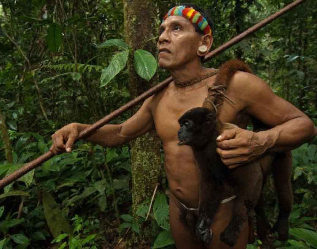 যন্ত্রপাতির মধ্যে কাঠ ও পাথর দিয়ে হাতে বানানো হাতুড়ি, নাট-বল্টু ও বর্শার ব্যবহারও তাঁর জানা। অস্ত্র ছুড়ে শিকার করতেও যথেষ্ট অভ্যস্ত তিনি। বিগত ২৩-২৪ বছর তিনি একাই বাস করছেন বলেই মত বিশেষজ্ঞদের।