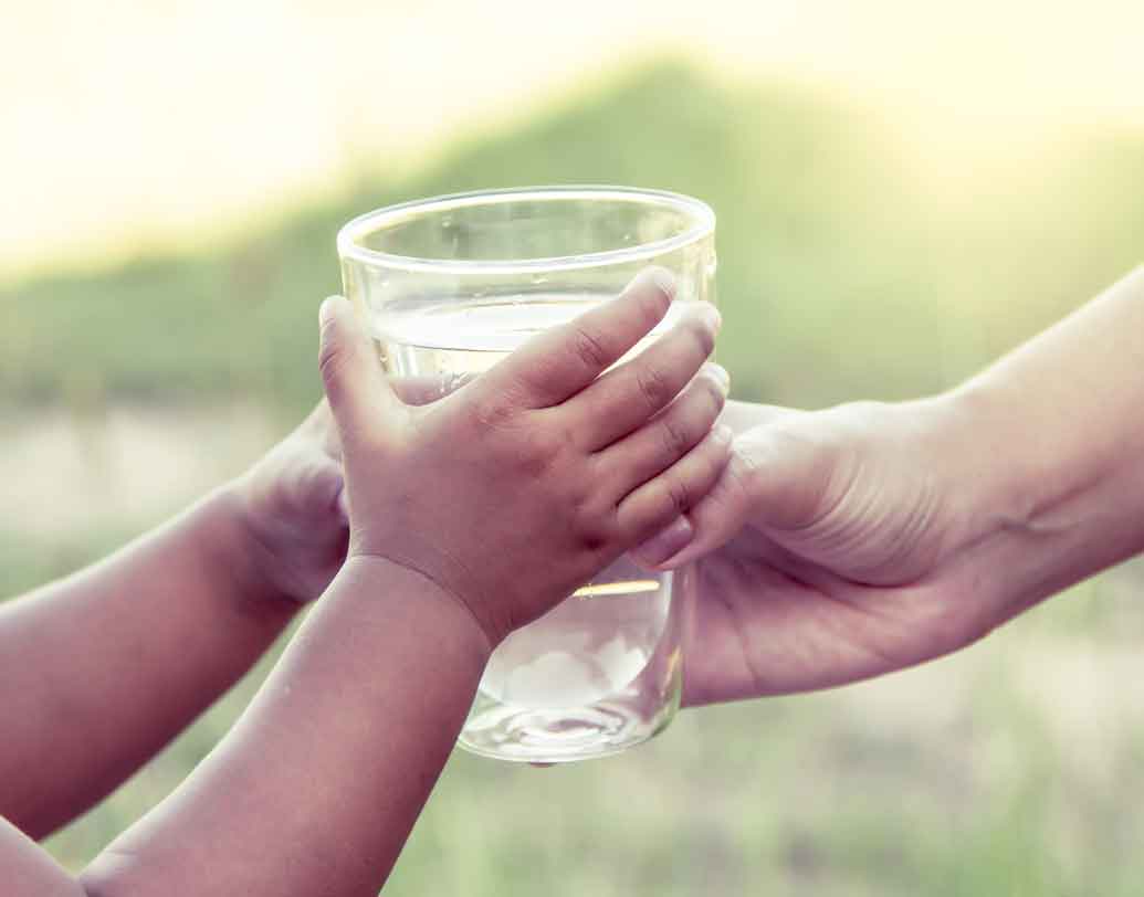 সব নিয়ম মেনে চলেন বটে, তবে দিনে জল খান কতটুকু? জানেন কি, শরীরের প্রয়োজন অনুযায়ী জল খাওয়ার নিয়মের উপরেও দাঁড়িয়ে আছে ওজনতত্ত্ব। চিকিৎসকরাও তাই সারা দিনের ডায়েটের শুরুই করেন এক গ্লাস জল দিয়ে। নিয়ম মেনে জল খাওয়ার কথাও যোগ করেন পরামর্শে। এই জল-নির্ভরতা কেন জানেন?