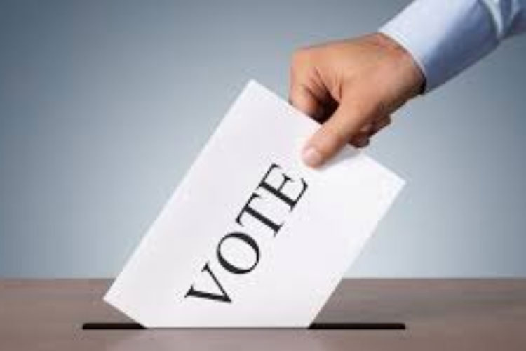 Lok Sabha Election 2019: All parties campaigning giving prime inportance to Tetulia Corridor