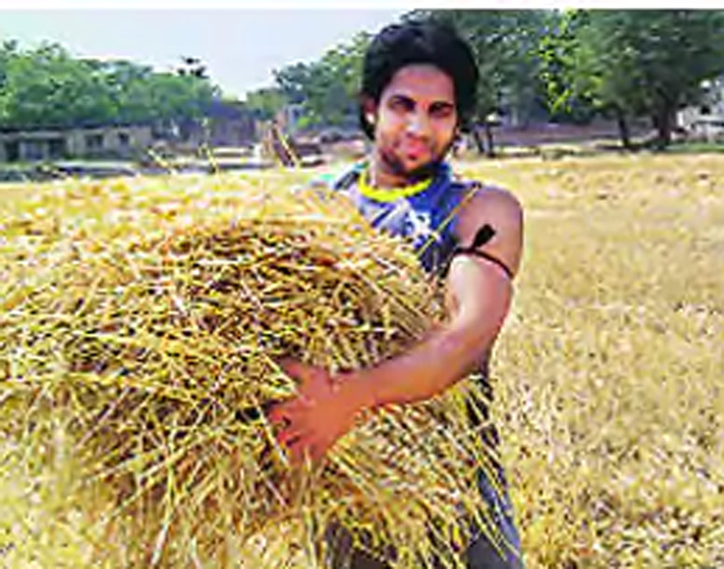 ভারতের তরুণ প্রতিভাদের তুলে আনে আইপিএল। কিন্তু কামরান মাঠে কাজ করছেন, খেলছেন না, এটা অত্যন্ত হতাশাজনক। একটি টুইটার পোস্টে এ নিয়ে দুঃখপ্রকাশ করেছেন শেন ওয়ার্ন।