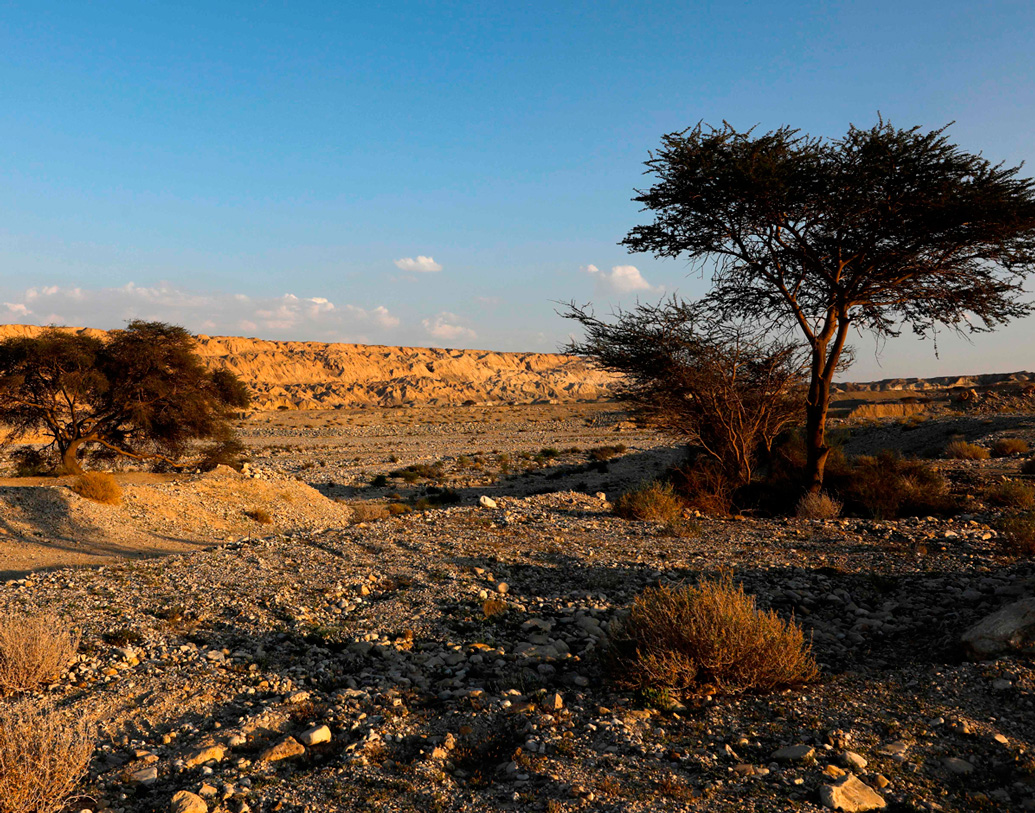 ইজরায়েলে অবস্থিত এই গুহাটির নাম মালহাম। মাটির নীচে ১০ কিমি পর্যন্ত বিস্তৃত এটি। এর ব্যাপ্তি এতটাই যে, একে আস্ত দেশ বলা শুরু করেছেন বিজ্ঞানীদের একাংশ।