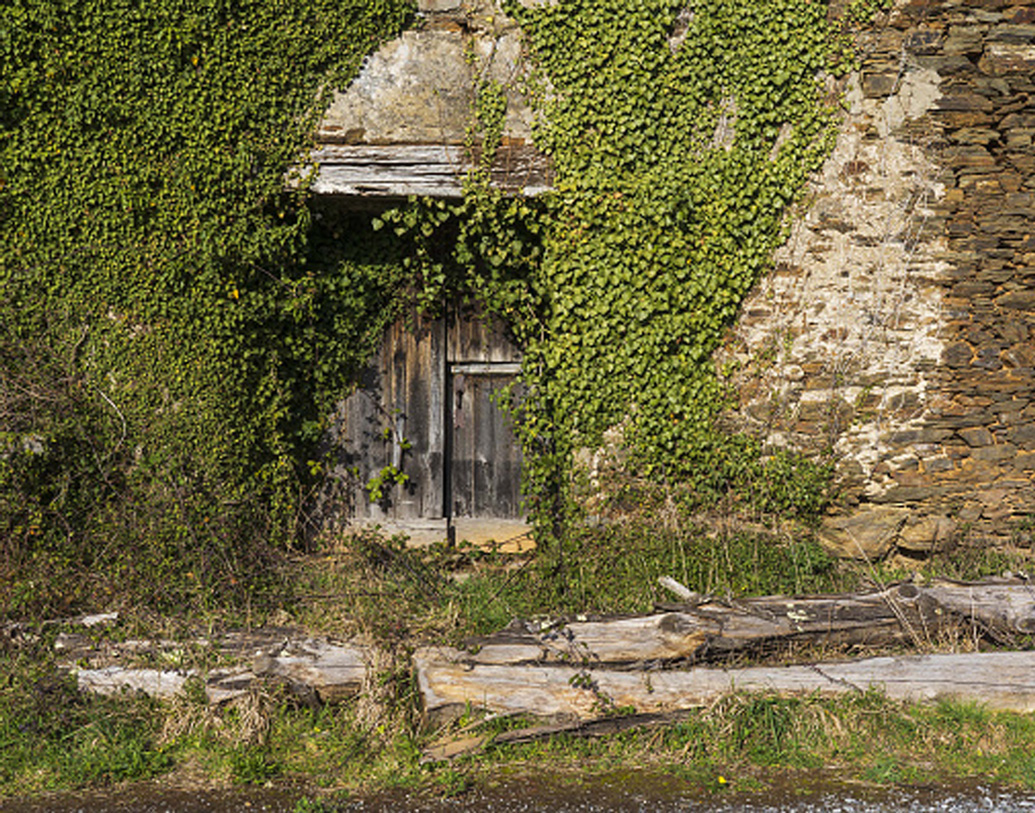 কিন্তু কী এমন রয়েছে সেখানে? দূর থেকে গ্রামের থমথমে চেহারা দেখলে অন্তত এটুকু বোঝা যায় যে, এই গ্রামগুলিতে প্রাণের উচ্ছ্বলতা তেমন নেই।