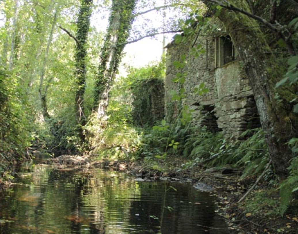 গ্রামোন্নয়ন দফতরের সমীক্ষা বলছে, ২০৫০ সালের মধ্যে দেশের ৭০ শতাংশই শহরে বাস করবে। পরিত্যক্ত গ্রামগুলি ঘিরে তাই গড়ে উঠছে গল্প।