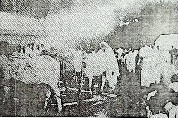 সুরুল খামারে রবীন্দ্রনাথ ঠাকুরের হাল চালানো (১৯২৯)।  ছবি সৌজন্য: রবীন্দ্রভবন