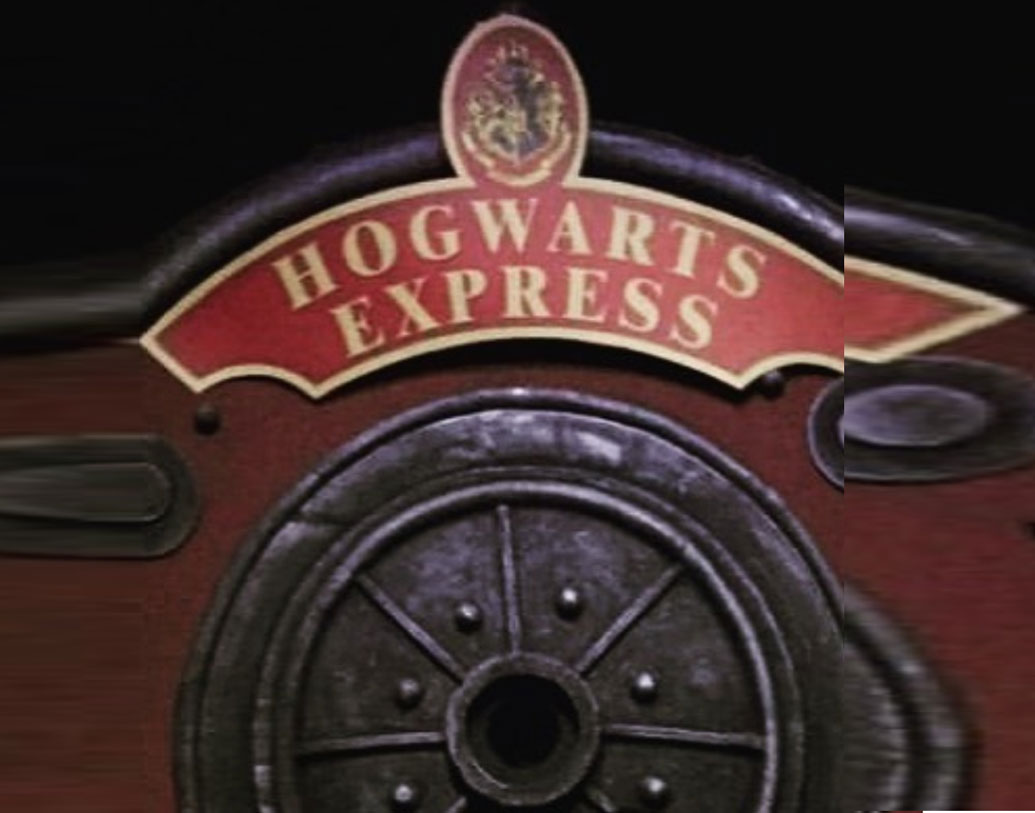 হ্যারি পটার থিমের পার্টিও করা হয়েছে মুম্বইয়ের প্রি ওয়েডিংয়ে। হগওয়ার্টের হলের ধাঁচে সাজানো হয়েছিল প্রি-ওয়েডিং অনুষ্ঠানের হল। ডিনার টেবিলও ছিল তেমনই।