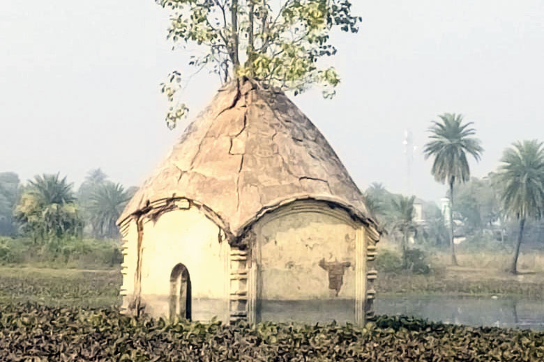 The history of Panchkot rulers of Purulia