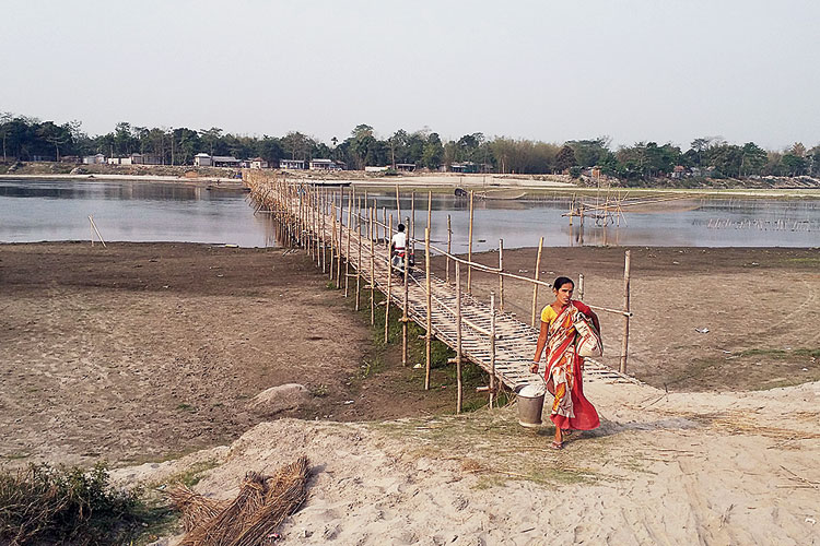 সেতুবন্ধ: রায়ডাক নদীতে আজও ভরসা বাঁশের নড়বড়ে সেতু। ছবি: শুভ কর্মকার