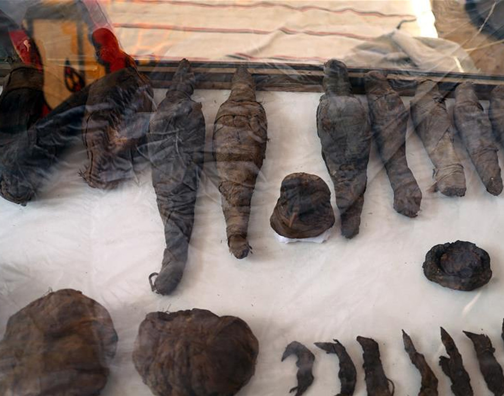 অসাধারণ রঙিন এই সমাধি, এমনটাই বলছেন সুপ্রিম কাউন্সিল অব অ্যান্টিকুইটিসের সাধারণ সম্পাদক মোস্তাফা ওয়াজিরি। কিন্তু ইঁদুর কোথা থেকে এল?