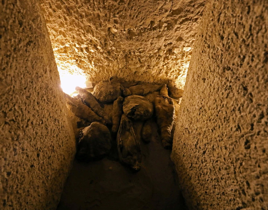 প্রাচীন মিশরে বিড়ালের প্রতি ভালবাসা ছিল। কিন্তু সেখানে এক ব্যক্তির সমাধিতে বিড়ালকে বাদ দিয়ে ইঁদুর ও বাজ পাখি কেন? এ নিয়েই গবেষণা করছেন ইতিহাসবিদ ও প্রত্নতত্ত্ববিদরা।