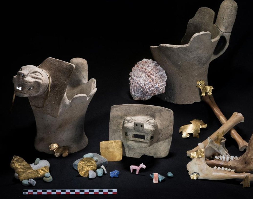 তিনটি পশুর (ইয়ামার) মৃতদেহের অবশেষও মিলেছে। মিলেছে হাড়গোড়ও। মনে করা হচ্ছে, বলি দেওয়া হয়েছিল এই পশুদের। বেশ কিছু কাঁটাওয়ালা ওয়েস্টারও মিলেছে। একটি ধাতব মূর্তি মিলেছে যেটিকে পুমা-ইয়ামার মিশ্রণ বলা যেতে পারে। সৌজন্যে ন্যাশনাল জিয়োগ্রাফিক।