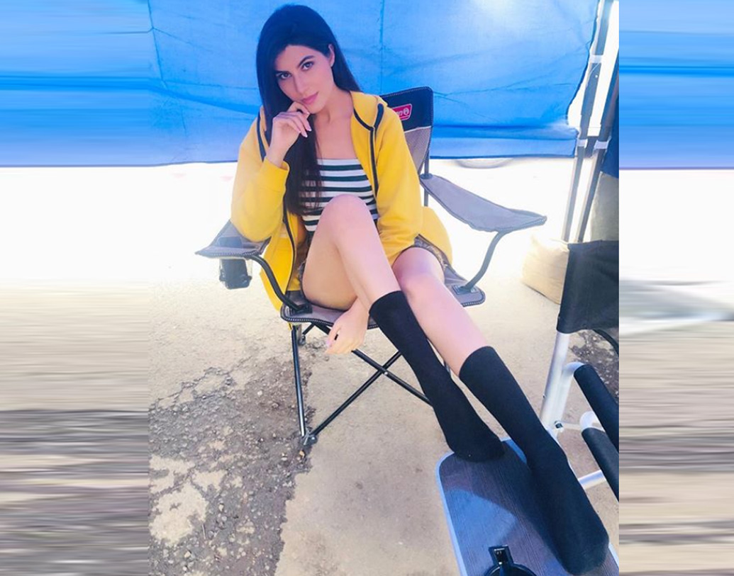 তিনি অভিযোগ করেন, ‘নমস্তে ইংল্যান্ড’ সিনেমায় কাজের জন্য একাধিকবার অডিশনে ডাকা হয়। পরিচালক বিপুল শাহ নাকি নিজের অফিসে এলনাজকে খারাপ ভাবে ছোঁয়ার চেষ্টা করেন। চিত্রনাট্য শোনানোর জন্য প্রায়ই এলনাজকে পাতিয়ালার একটি হোটেলে ডেকে পাঠাতেন বিপুল, জোর করে চুমু খাওয়ার চেষ্টাও করেন বলে দাবি করেছিলেন নায়িকা।