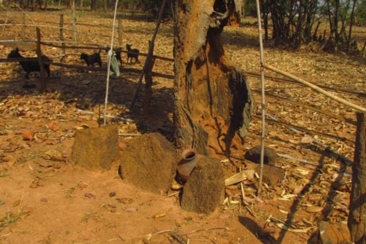 Lok Sabha Election 2019: Oppositions accused TMC for fake commitments about Jaher Than