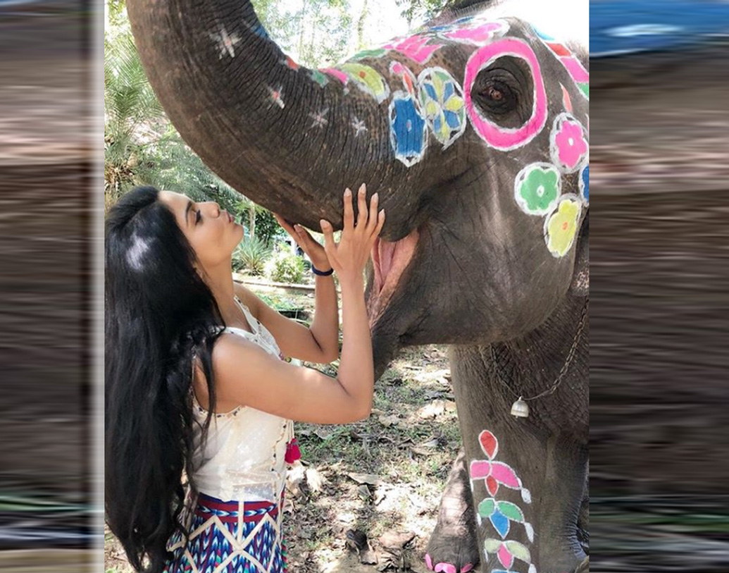 সম্প্রতি মুক্তিপ্রাপ্ত ছবি ‘জংলি’-তে তাঁকে এরকম একটি ভূমিকায় দেখা গিয়েছে। হাতির সঙ্গে মানুষের সম্পর্ক, বন্যপ্রাণ, পরিবেশ রক্ষা, চোরাশিকারিদের হানা এই সংক্রান্ত গল্প নিয়ে এগিয়েছে ছবিটি। ছবিতে প্রশংসা পেয়েছে পূজার স্বতঃস্ফূর্ত অভিনয়।